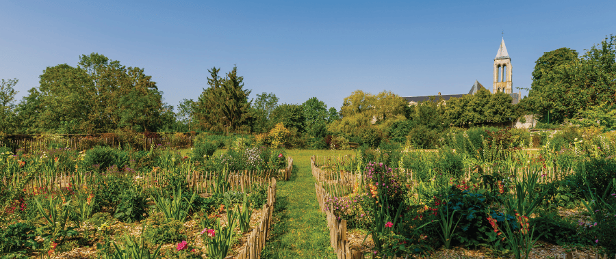 Transition &eacute;cologique